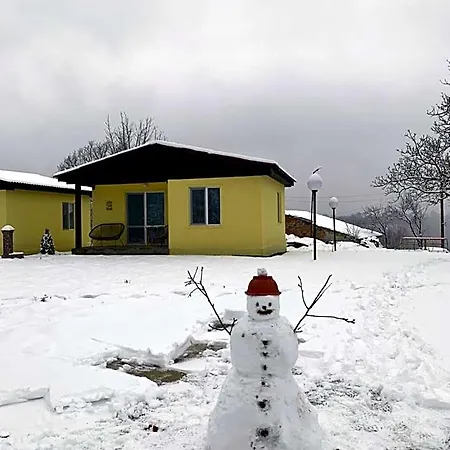 Daskalov