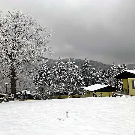 فندق Daskalov