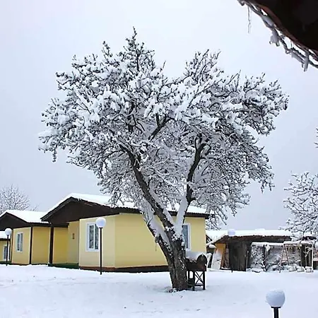 فندق Daskalov *